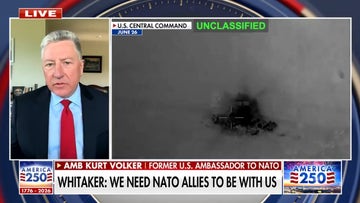 Former US ambassador to NATO discusses frustration with allies over Iran operation