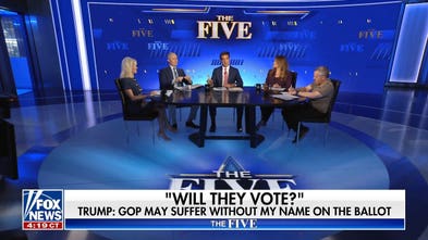 Kellyanne Conway: Trump is almost ‘tempting and taunting’ Democrats