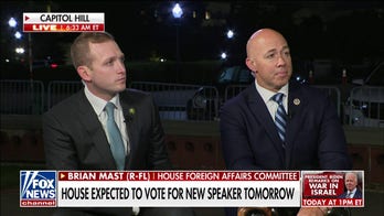 'Israel needs to take the gloves off,' GOP rep says