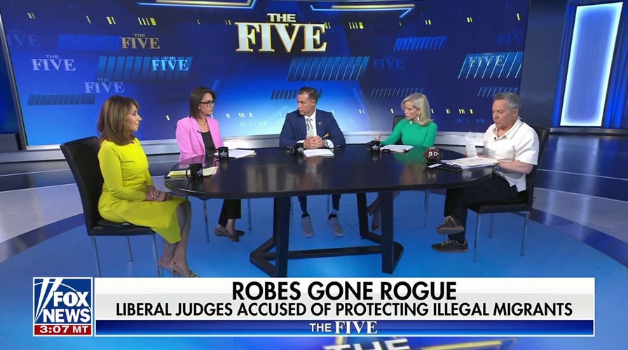 Greg Gutfeld: Is this going to happen with every single deportation?