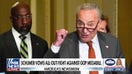 Democrats vow all-out 'fight' against 'big, beautiful bill' in Senate