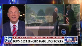  It makes it hard to be a sitting Democratic governor and become president: Former WH press secretary