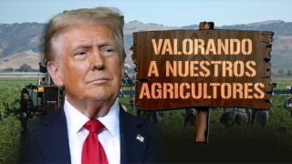 Trump valora a los agricultores! - Fox News
