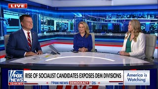 There is no ‘moderate socialism,’ Republican consultant says