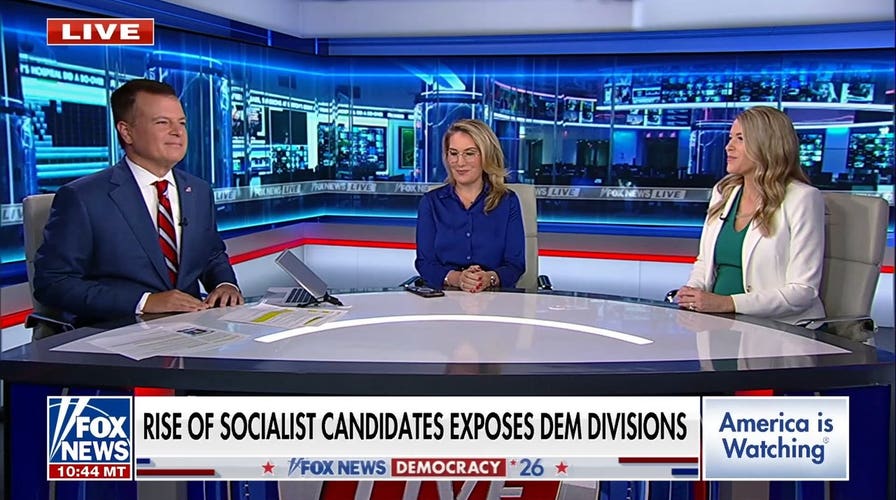 There is no ‘moderate socialism,’ Republican consultant says