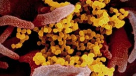 Coronavirus likely to come back each year, Chinese scientists say