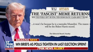 Maybe the guy who got indicted 'shattered the norms,' Democratic consultant says - Fox News