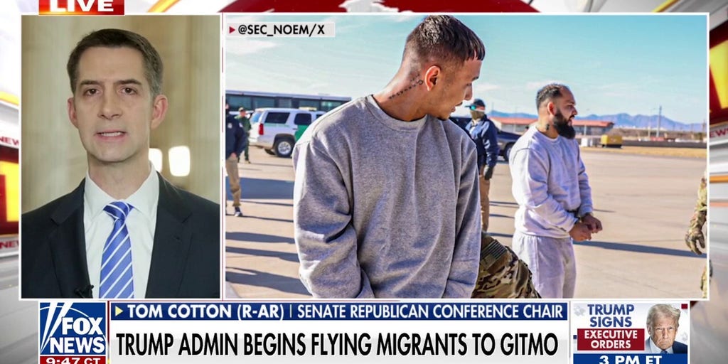 Sen. Cotton praises Trump admin flying migrant criminals to Gitmo: 'Very smart idea'
