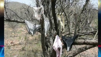 Retired US marshal: Migrants try to come for the American dream, but cartels make it a 'living nightmare'