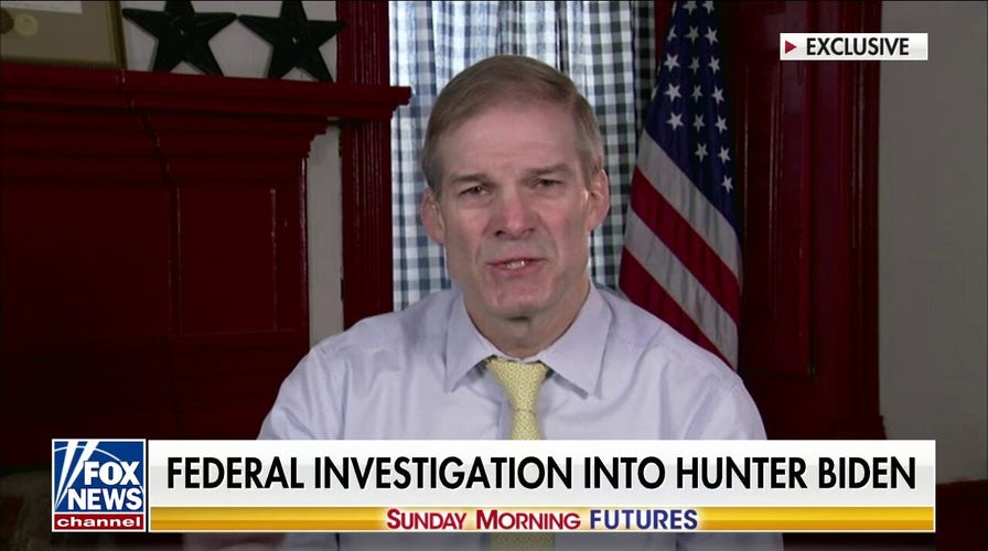 Hunter Biden story suppression 'conspiracy' between Big Tech, media, Dems: Rep. Jim Jordan