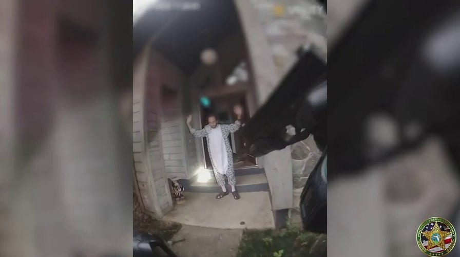Florida man in cat costume arrested after stabbing roommate in neck, police say
