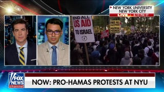 Possible 'professional activists' are infiltrating anti-Israel protests: Gabriel Nadales - Fox News