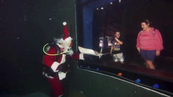 Santa Claus goes underwater diving to spread holiday cheer