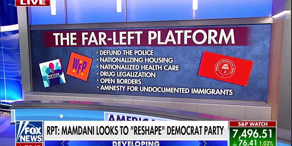 Former Clinton advisor warns Democratic Party is sliding left