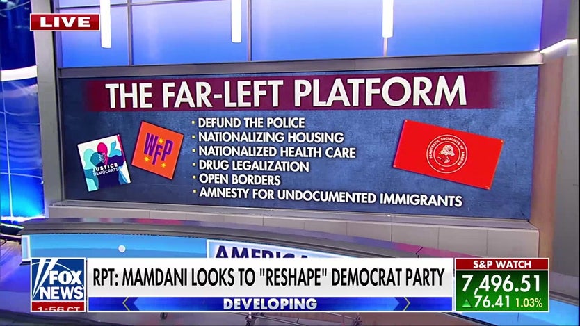Former Clinton advisor warns Democratic Party is sliding left