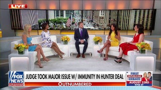 Hunter Biden sought immunity from future prosecution in now-collapsed plea deal - Fox News