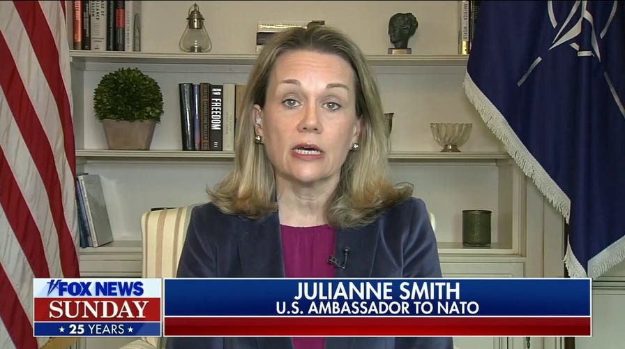 US sanctions are impacting Russian economy: US ambassador to NATO