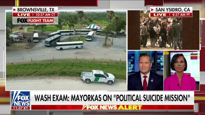 Rep. Waltz: Where is the border czar, Kamala Harris?