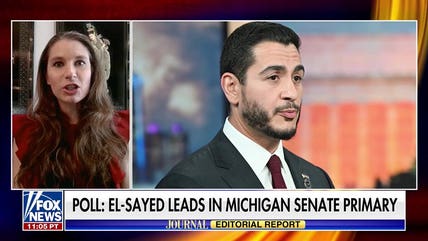 Democratic Party divided over DSA platform and Michigan primary