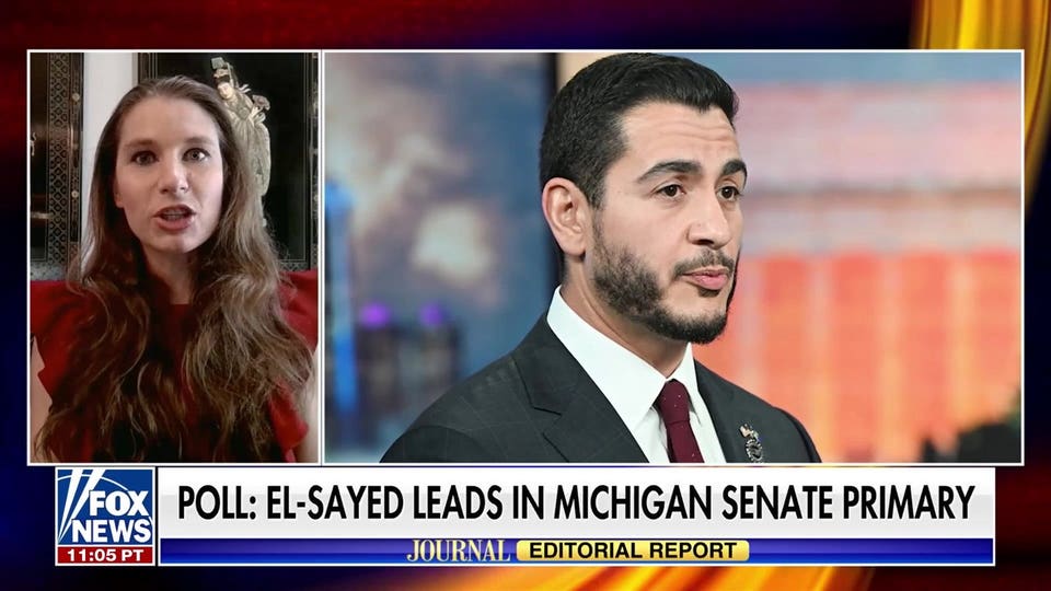 Democratic Party divided over DSA platform and Michigan primary
