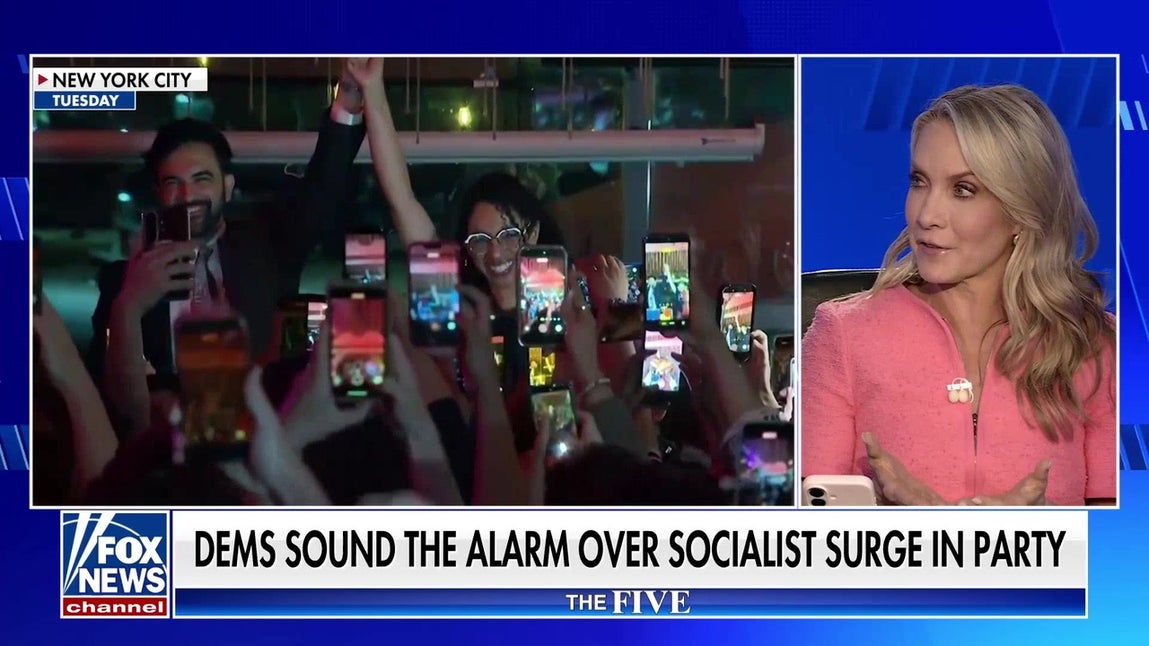 Democrats sound alarm over party's socialist shift