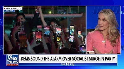Democrats sound alarm over party's socialist shift