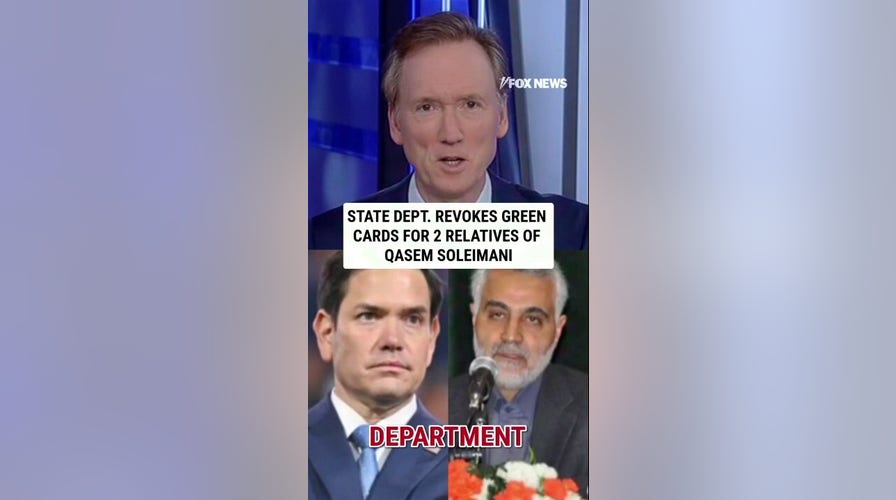 2 relatives of Qasem Soleimani successful ICE custody