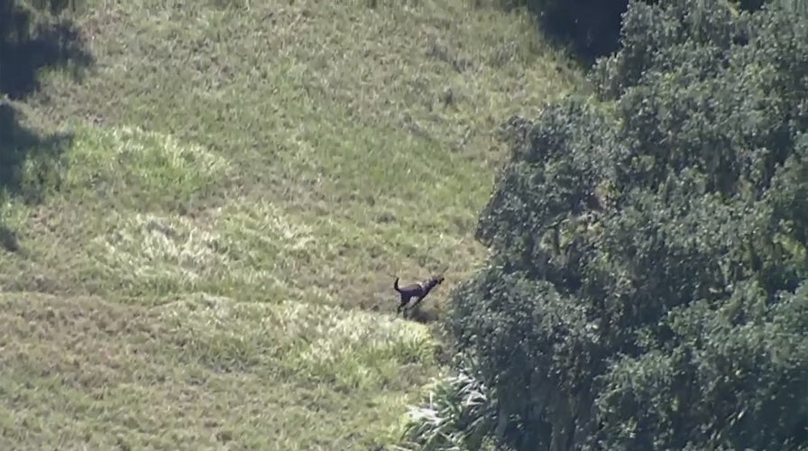 Brian Laundrie search: Tents erected at FL park where fugitive's parents see items belonging to son