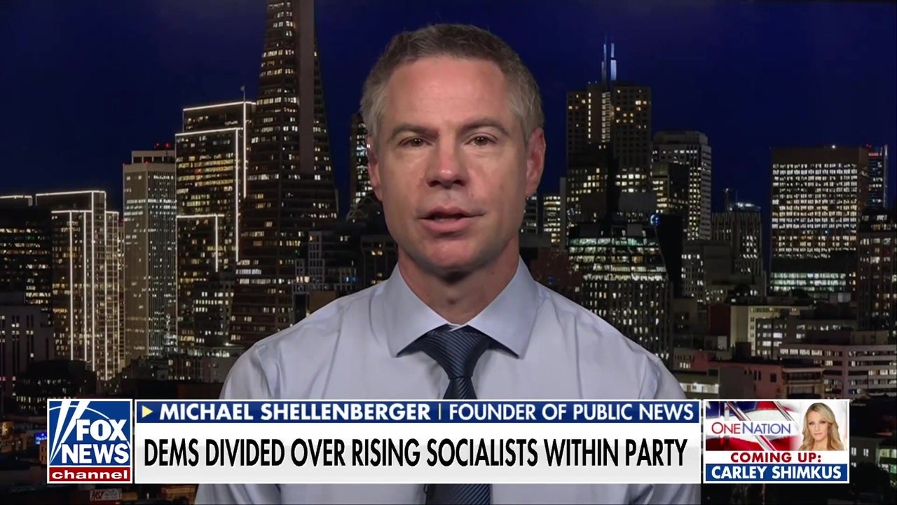The radicalization of the left and the Democrats is 'the big political story': Michael Shellenberger