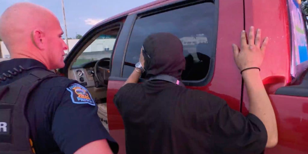 COPS: Tased and Confused