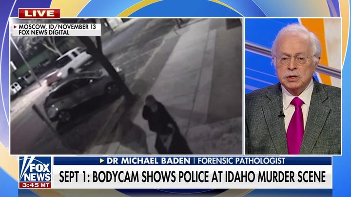 Baden on possibility of Idaho investigation becoming a cold case: 'This has to be kept in mind'