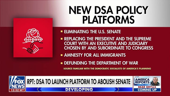The DSA is trying to 'reintroduce' the very things the framers rejected: Jonathan Turley