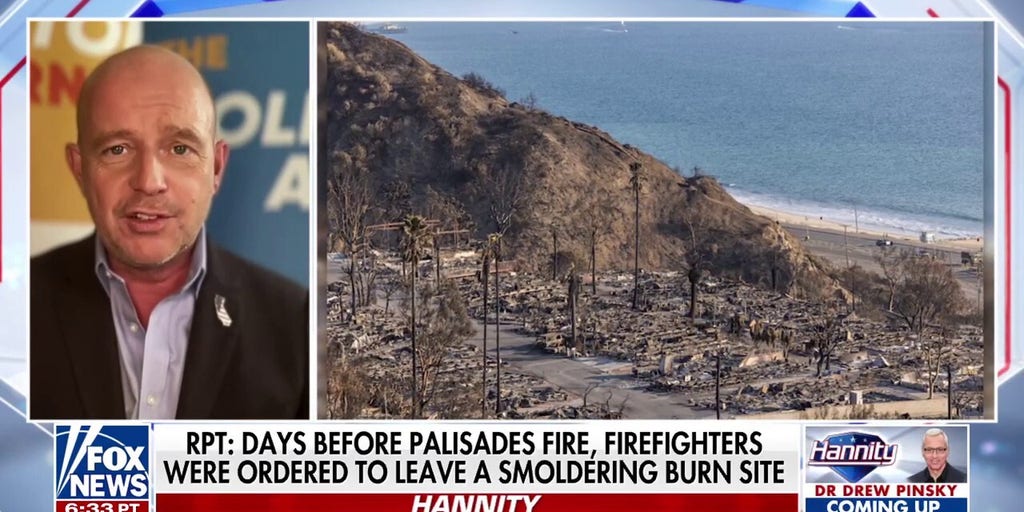 ‘This is who they are’: Steve Hilton blasts California leaders over Palisades fire response