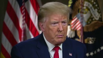Ted Williams says Trump should 'butt out' of Seattle occupation debate: 'This is a state and local matter'
