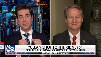 Rep. Tim Burchett says McCarthy 'kidney' jab a 'sad asterisk' for him