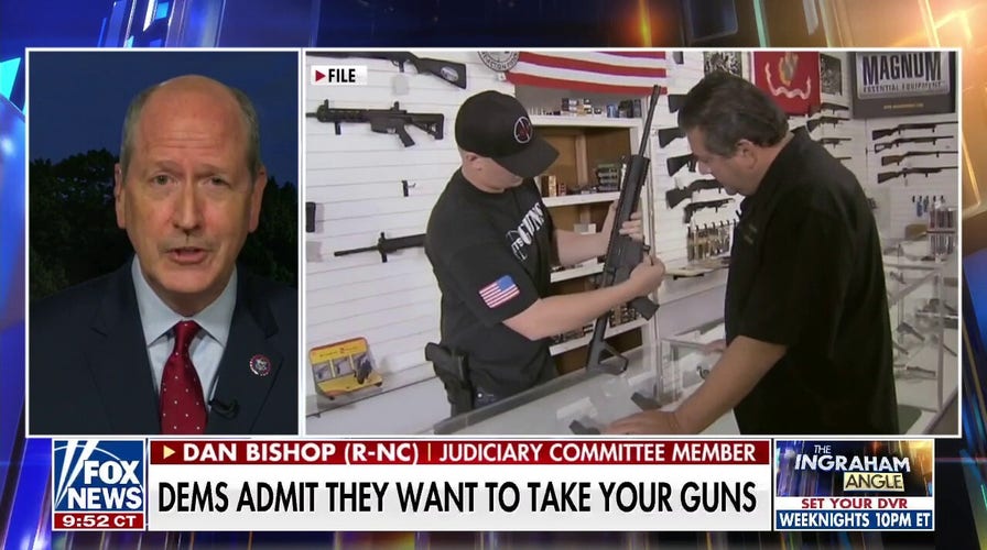 GOP lawmaker says Democrats have ‘made it clear’ they want to ‘defy the Supreme Court’ over gun rights