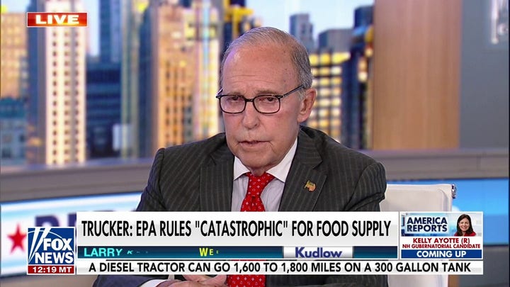 We should not be knocking out our current energy resources: Larry Kudlow