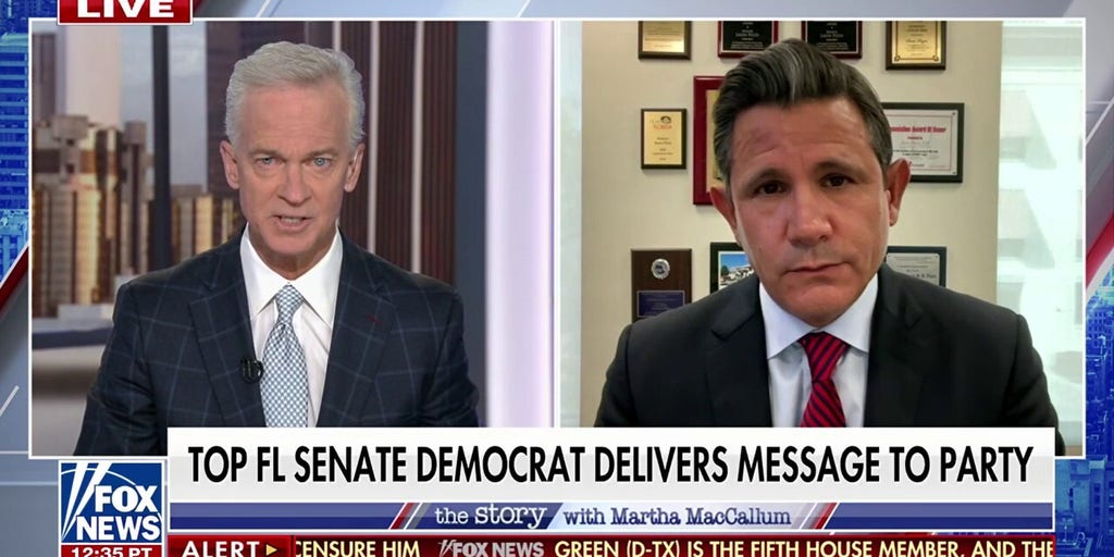 Democratic senator calls out party members who 'lost their course'