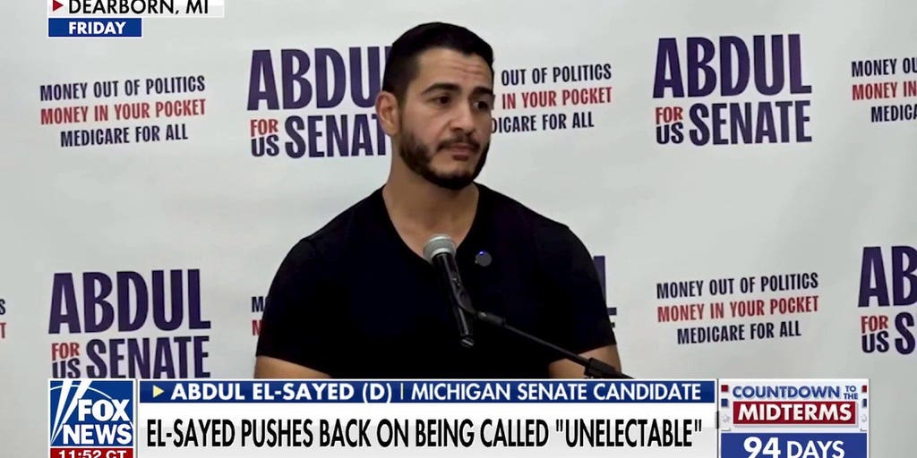 Michigan Democratic Senate candidate pushes back on being ‘unelectable’