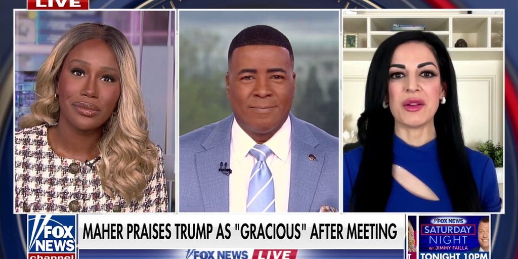 CEO calls Democratic Party 'abysmal' as Kamala Harris book is reportedly in the works