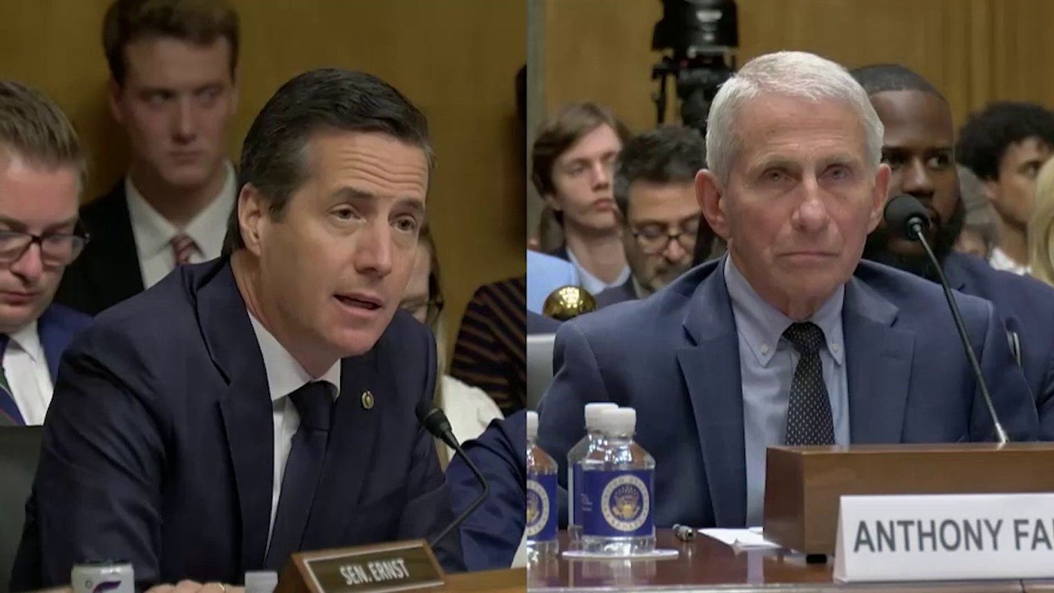 GOP senator torches Fauci: 'Who the f--- do you think you were?!'