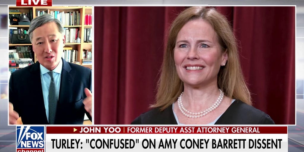 John Yoo calls for judges to 'respect Trump's agenda' after admin wins trio of key cases