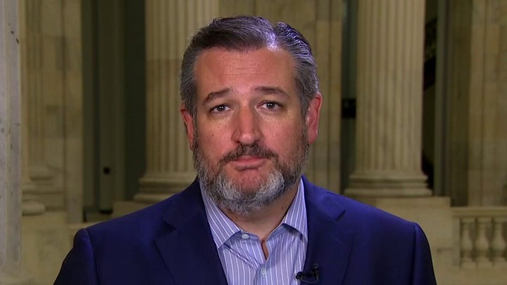Ted Cruz rips the Democrats for being autocratic thugs