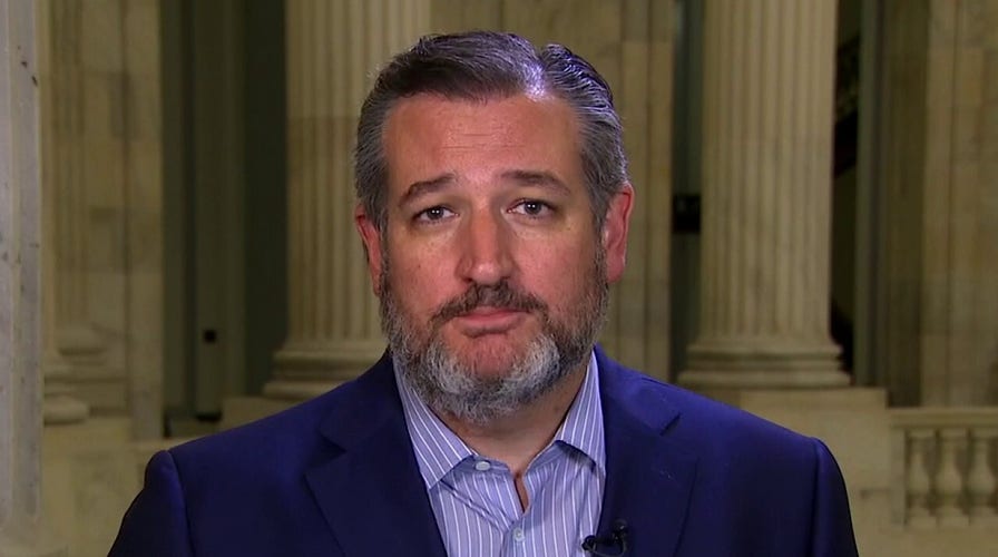 Ted Cruz rips the Democrats for being autocratic thugs