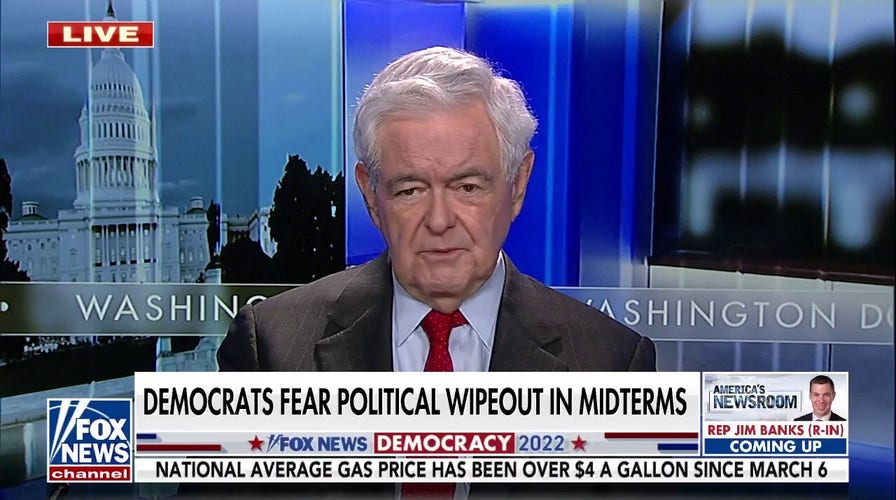 Newt Gingrich argues Biden 'clearly feels subordinate' to Obama following awkward White House visit