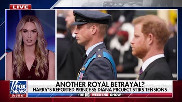 Prince Harry's reported Princess Diana movie project sparks controversy