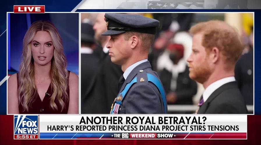 Prince Harry's reported Princess Diana movie project sparks controversy