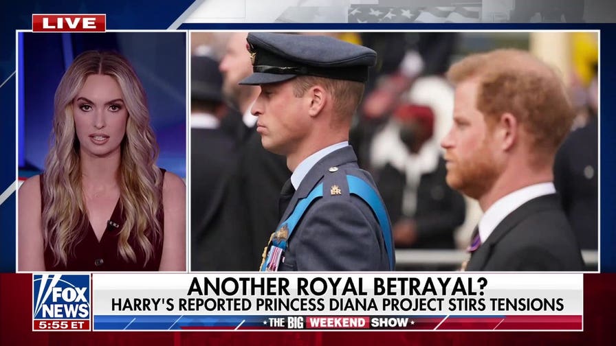 Prince Harry's reported Princess Diana movie project sparks controversy