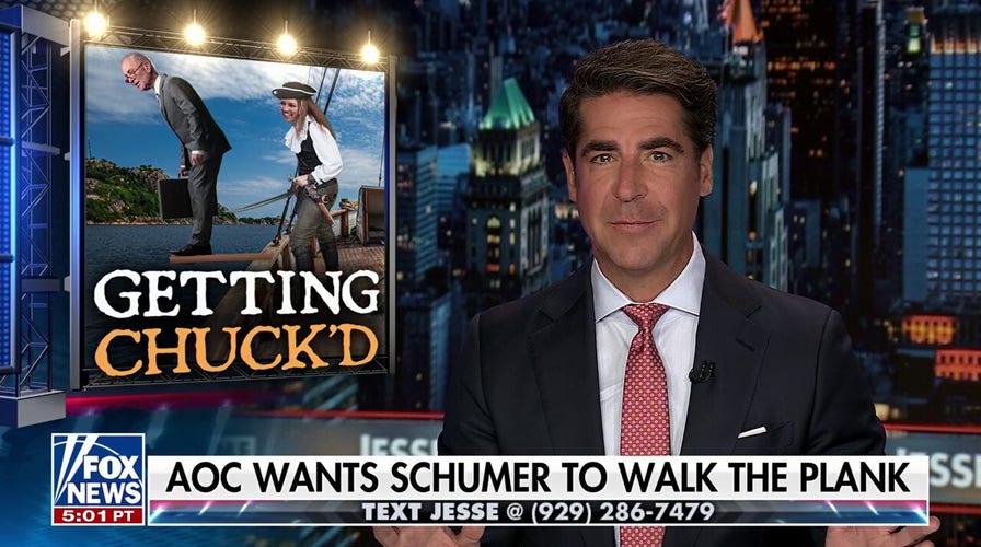 No one knows who is in charge of the Democratic Party: Jesse Watters