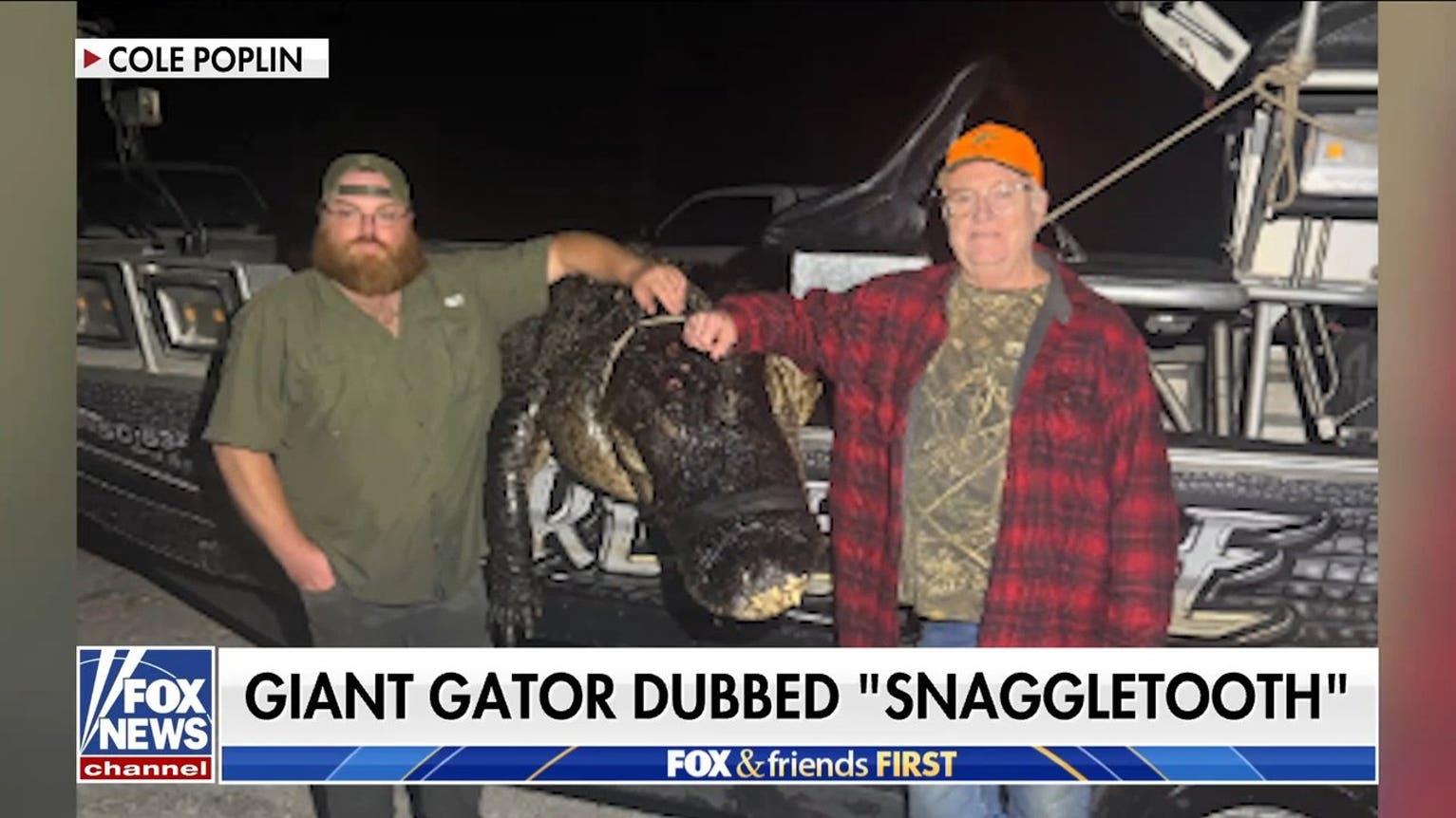 Massive 844-pound alligator caught after years-long hunt